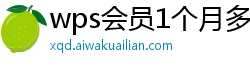 wps会员1个月多少钱